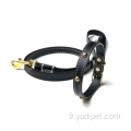 accessoires de chien de compagnie rivet animal de compagnie cuir PU écologique